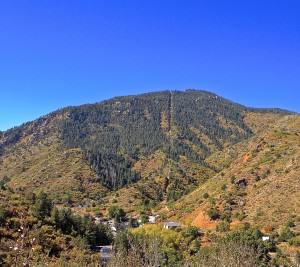 View of the Manitou Incline from the Intemann Trail Photo: The Prez